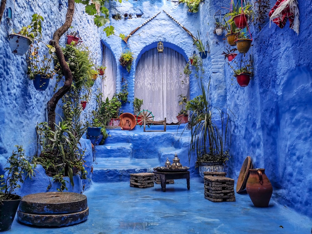 un callejón azul con plantas en macetas y un banco