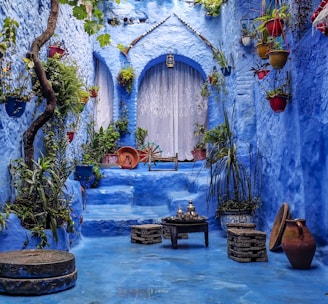 a blue alley with potted plants and a bench