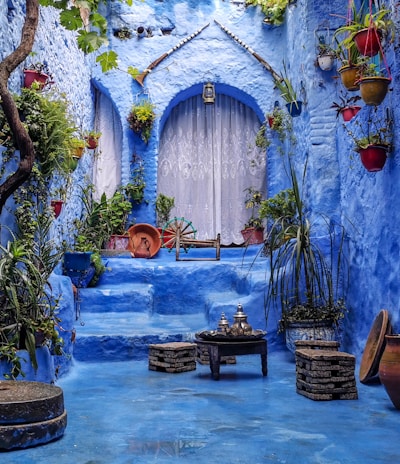 a blue alley with potted plants and a bench