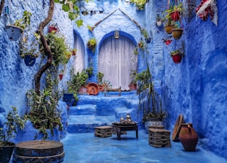 Shot after the rain in the beautiful city of Chefchaouen, Morocco.