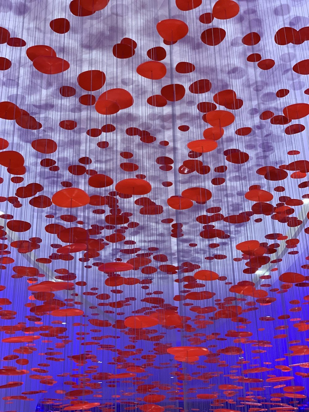 Un gruppo di cerchi rossi appesi al soffitto