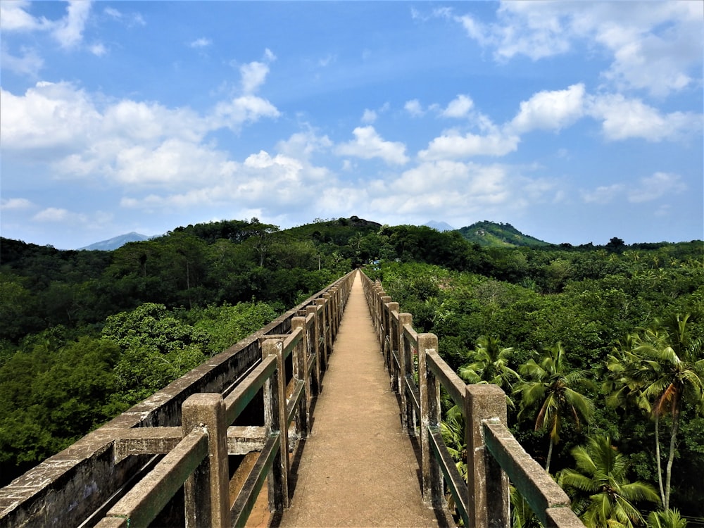 brown concrete pathway near tress under blue sky during daytime