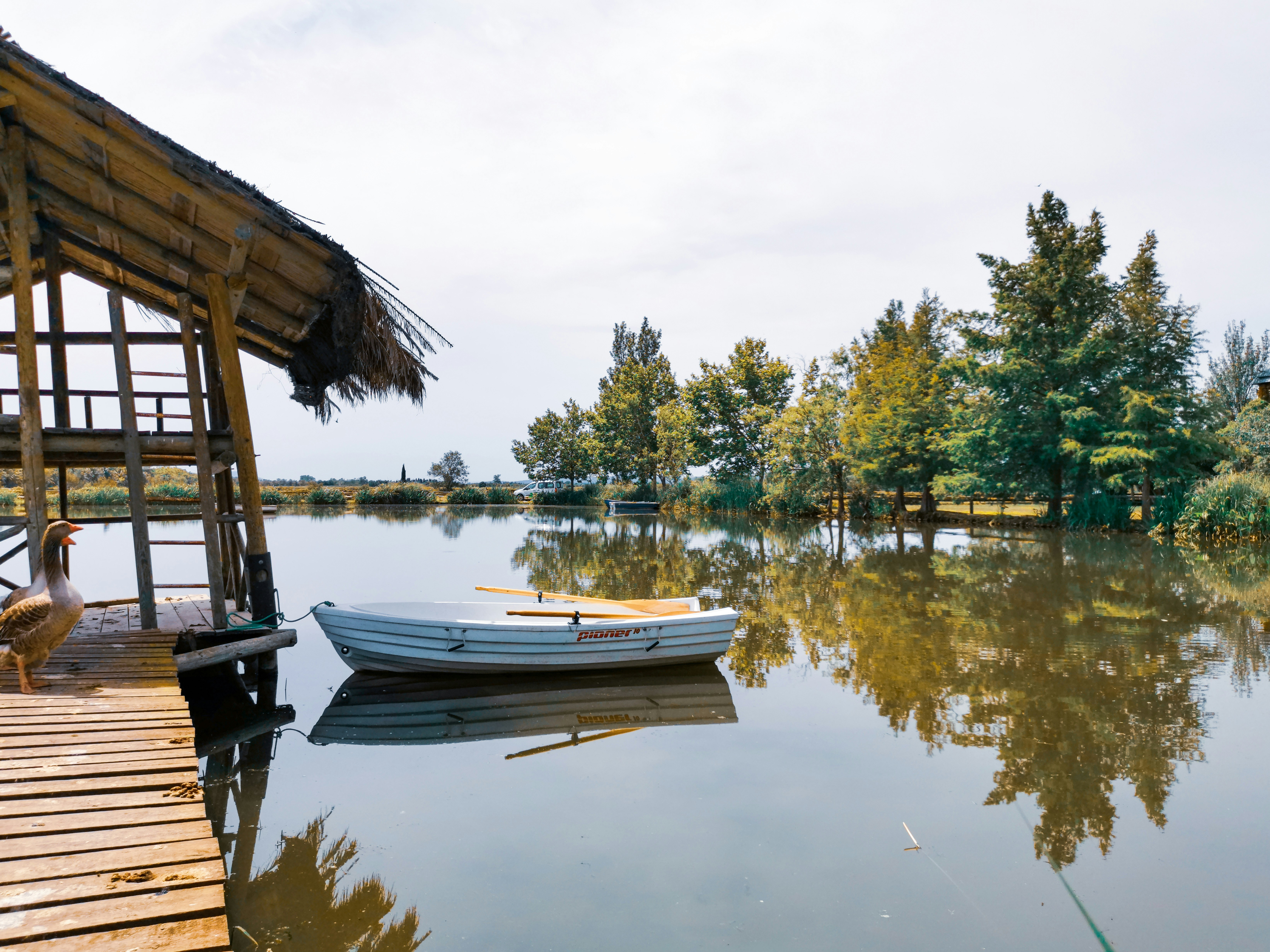 boat on lake