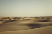 closeup photo of desert