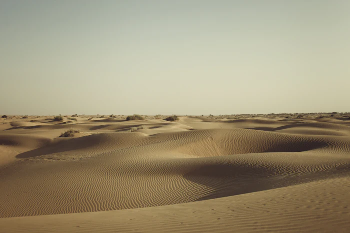 Ripples on the sand dunes