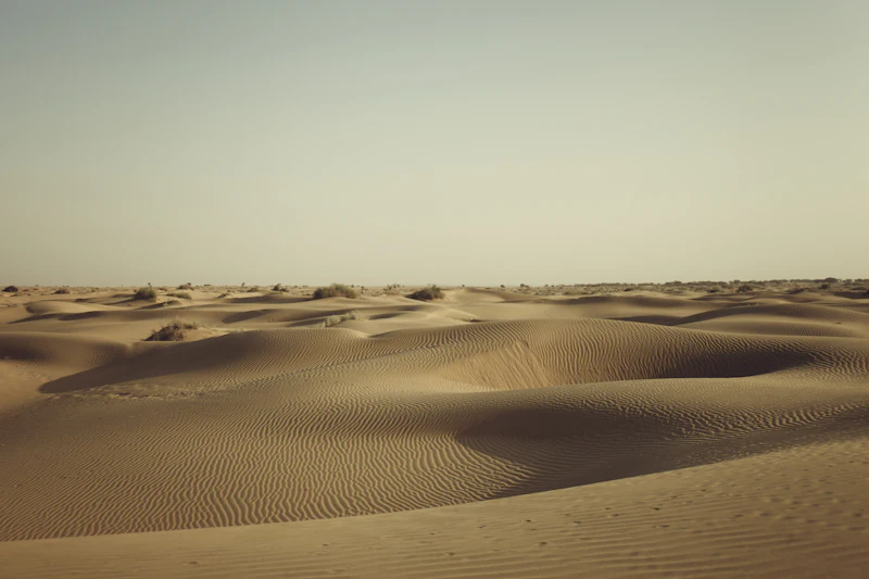 Golden sand dunes
