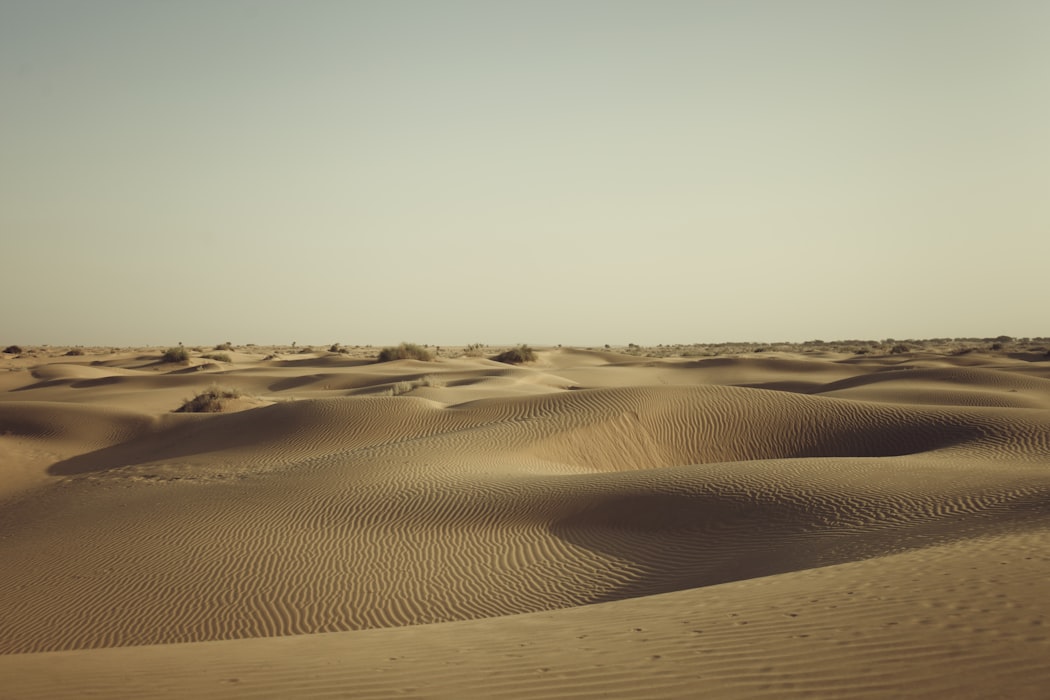 The sand dunes of the Thar desert