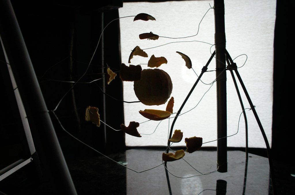 2,000+ Fruit Reels