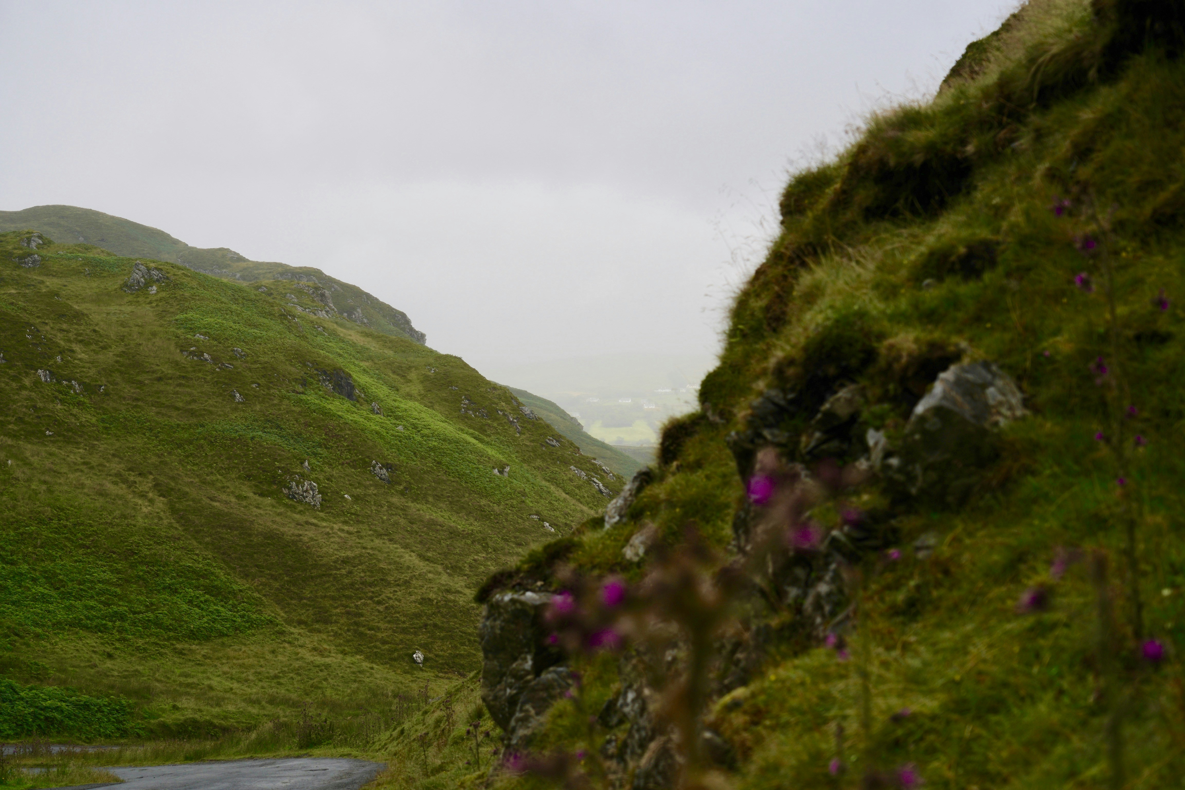 Photo by ingodoerrie