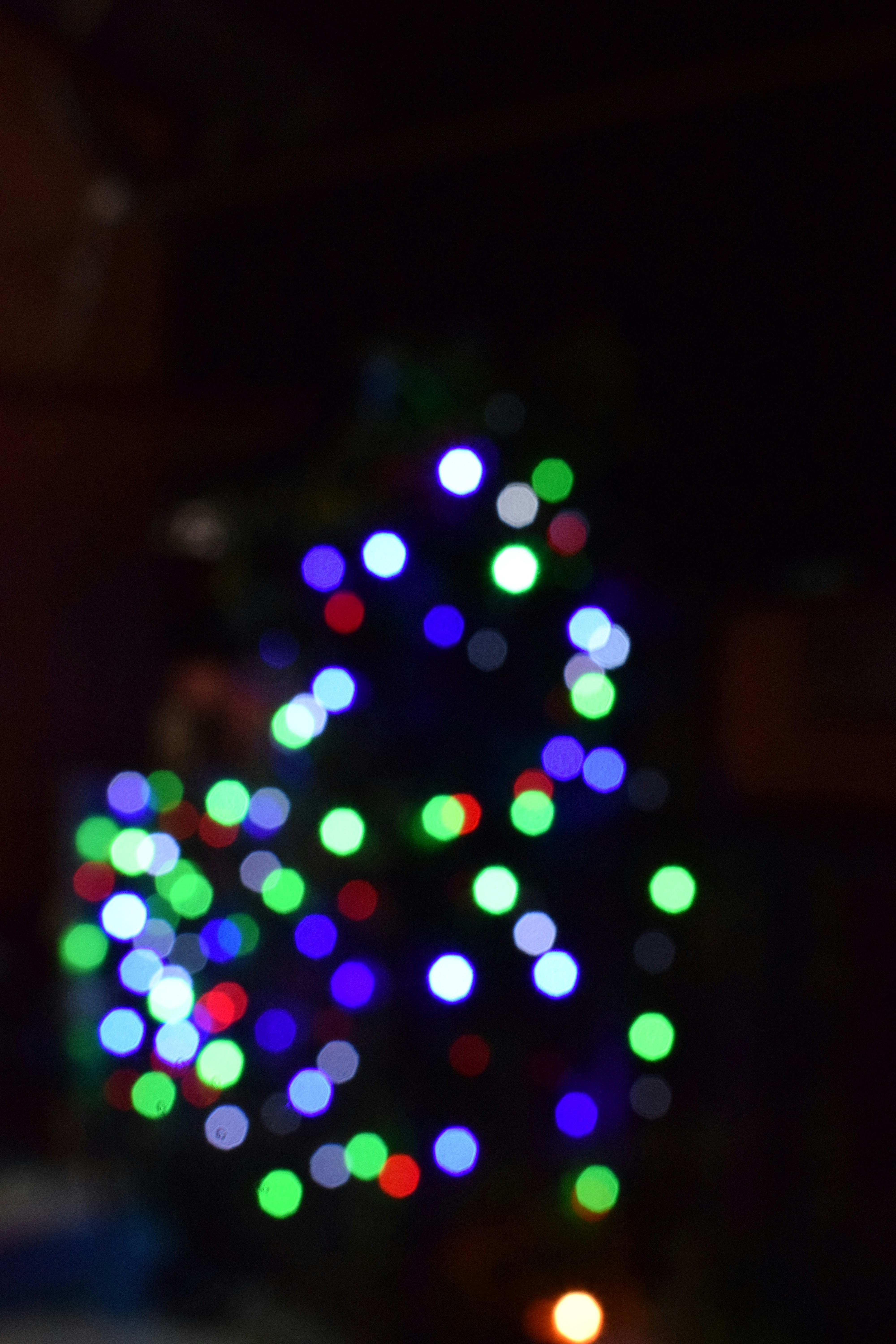 Photo by photographyworld