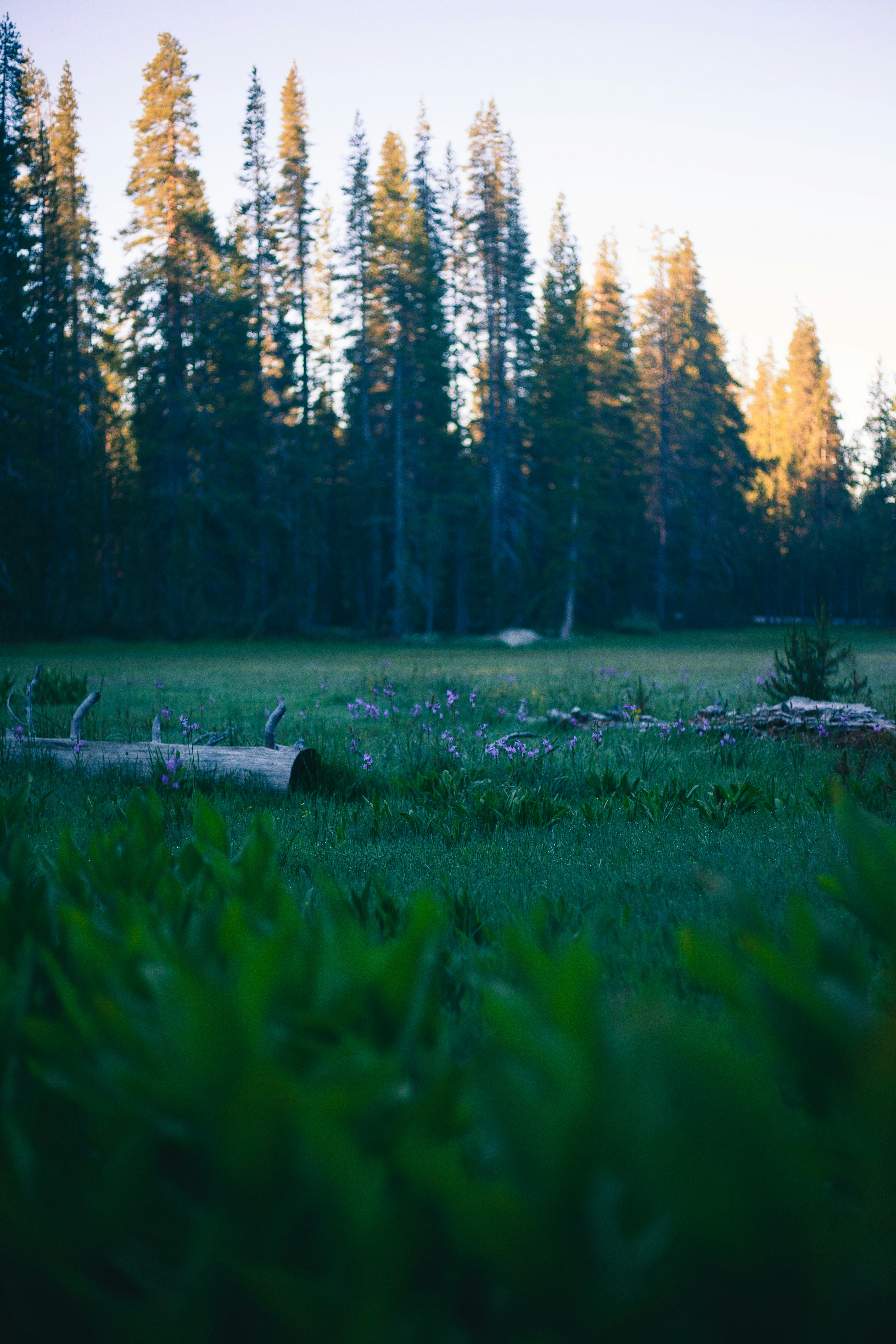 Photo by reallygoodjames