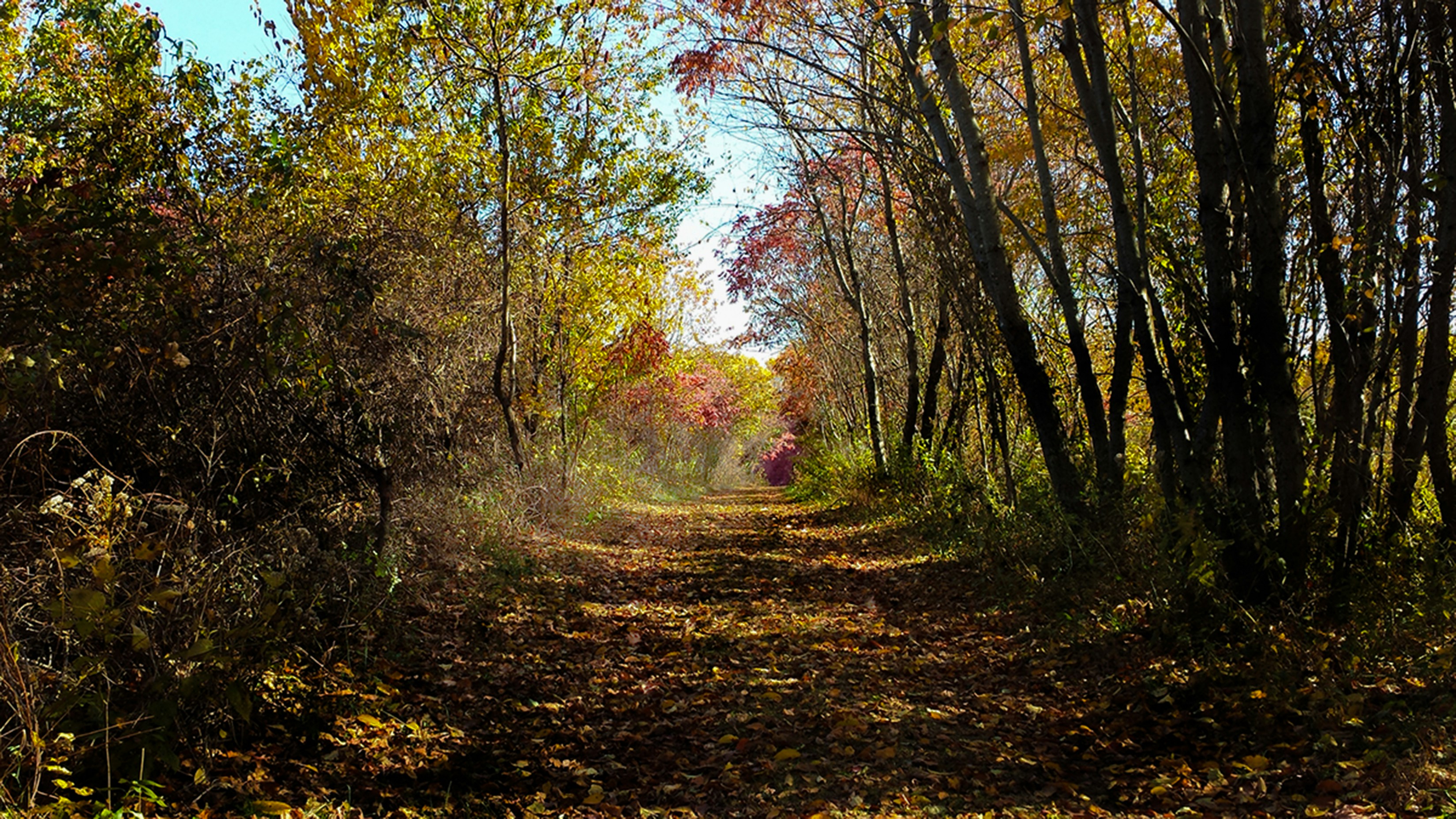 Photo by hollow_movement