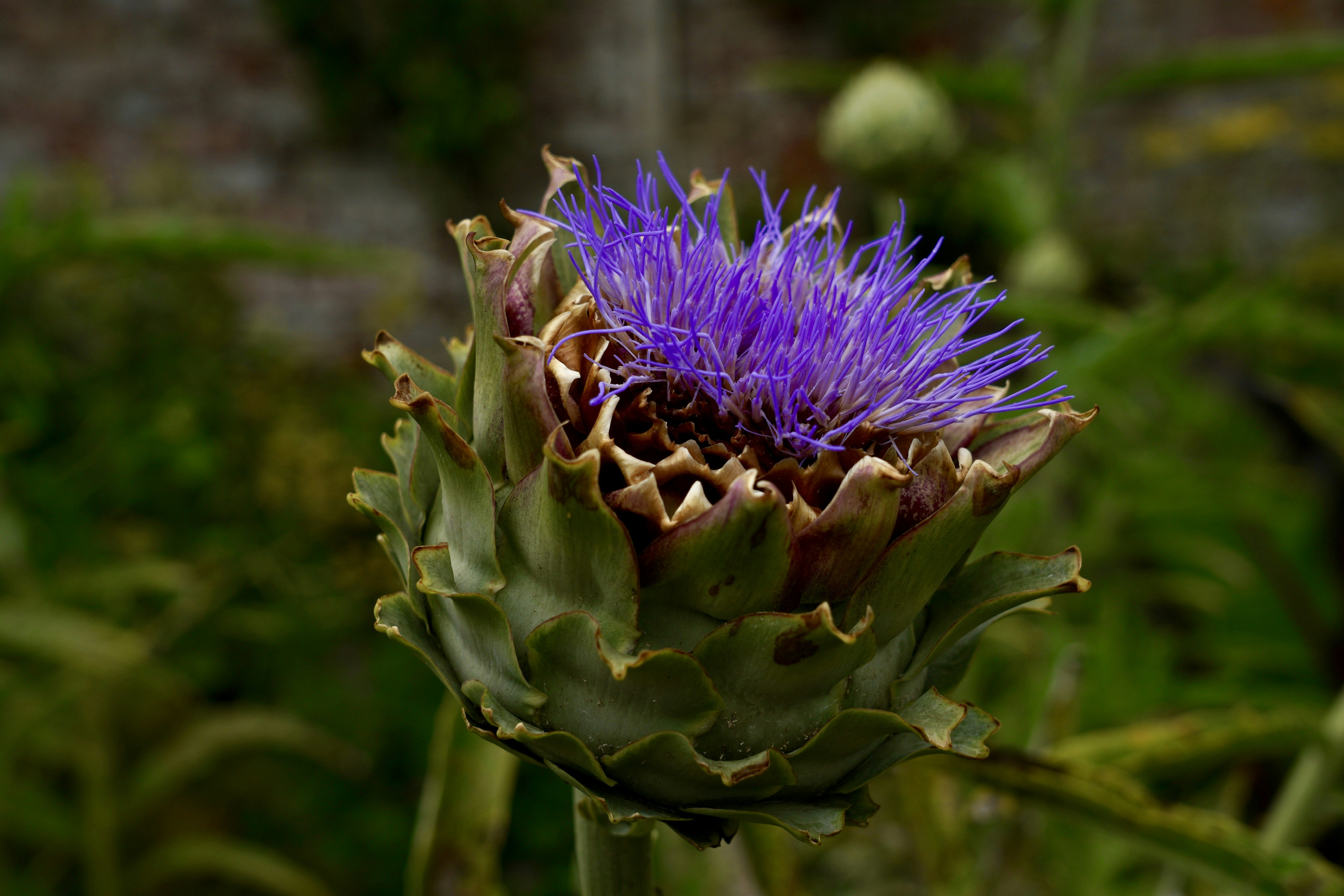 Photo by ingodoerrie