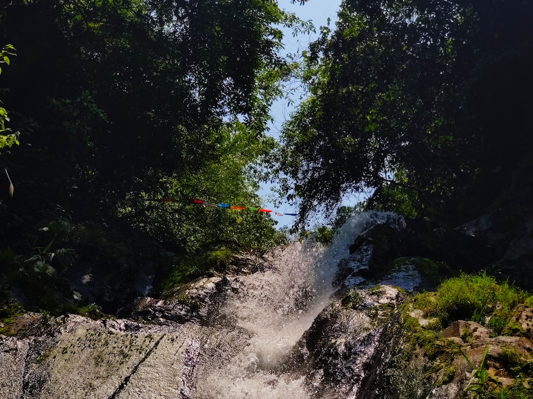 Nature reserve photo spot Wang Tong Xin Lu Guangdong