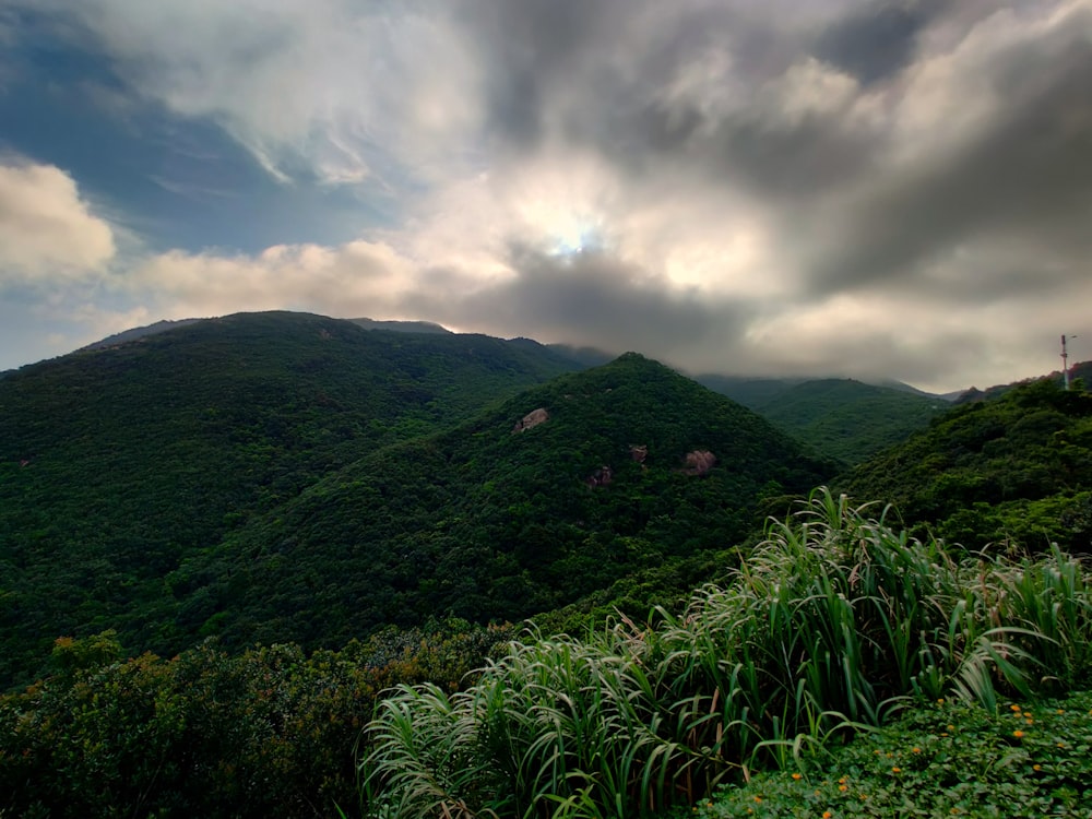 mountain during daytime