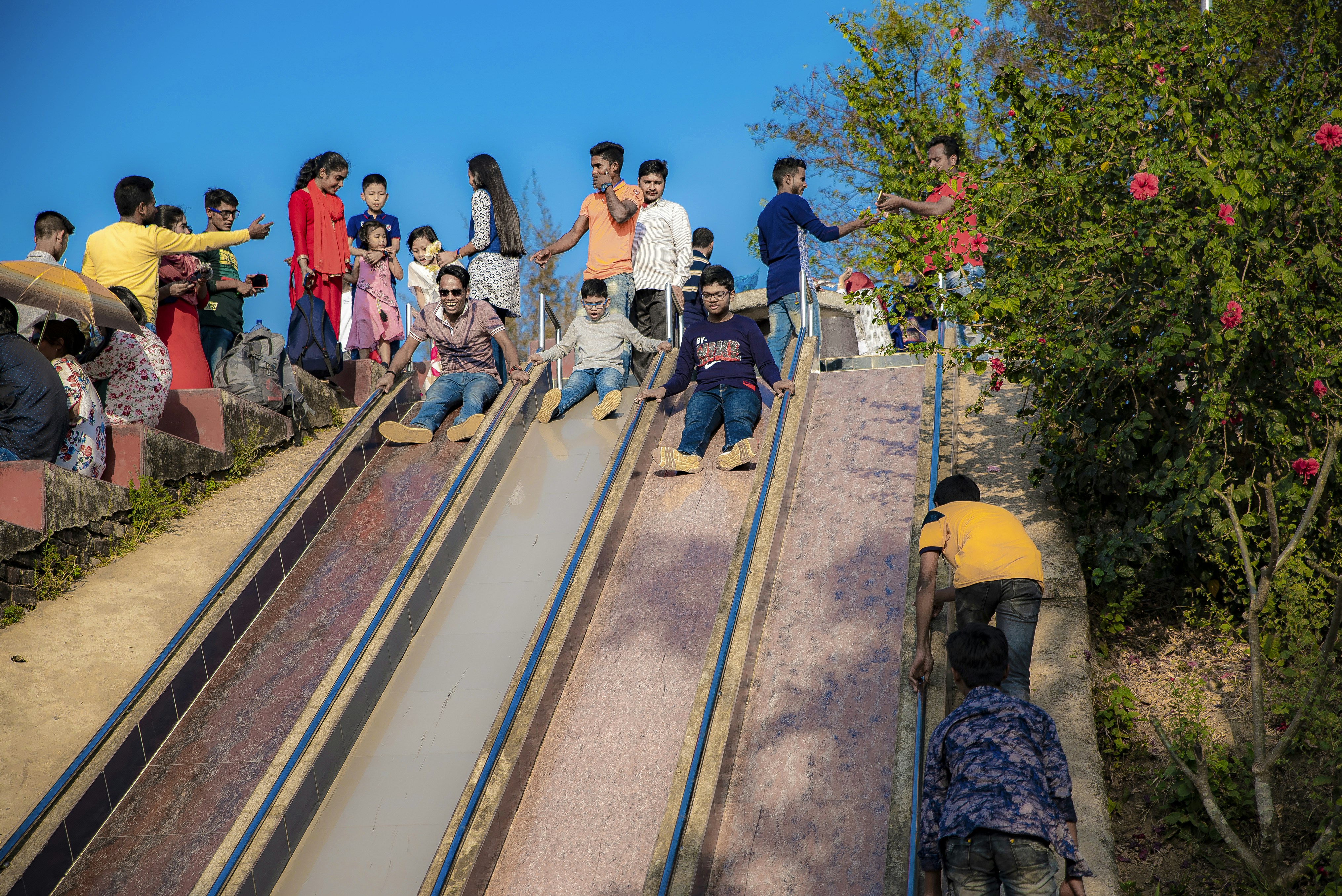 people near a slide and plant during daytime