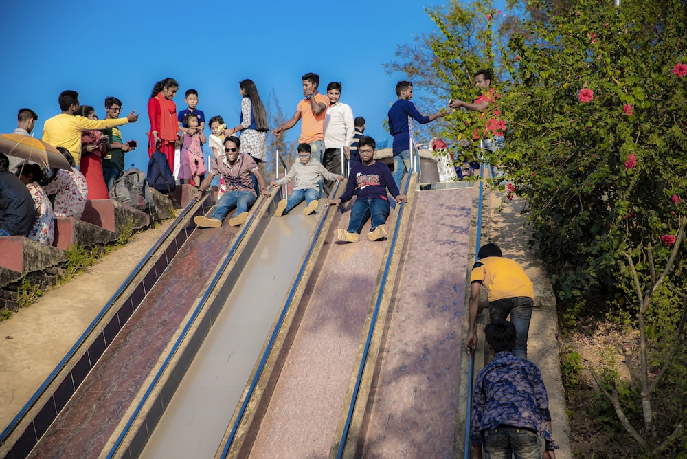 people near a slide and plant during daytime