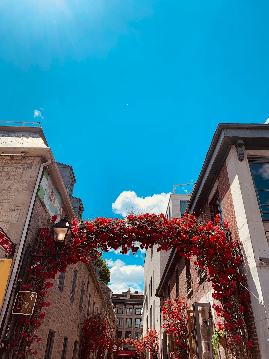 travelers stories about Town in 420 Place Jacques-Cartier, Canada