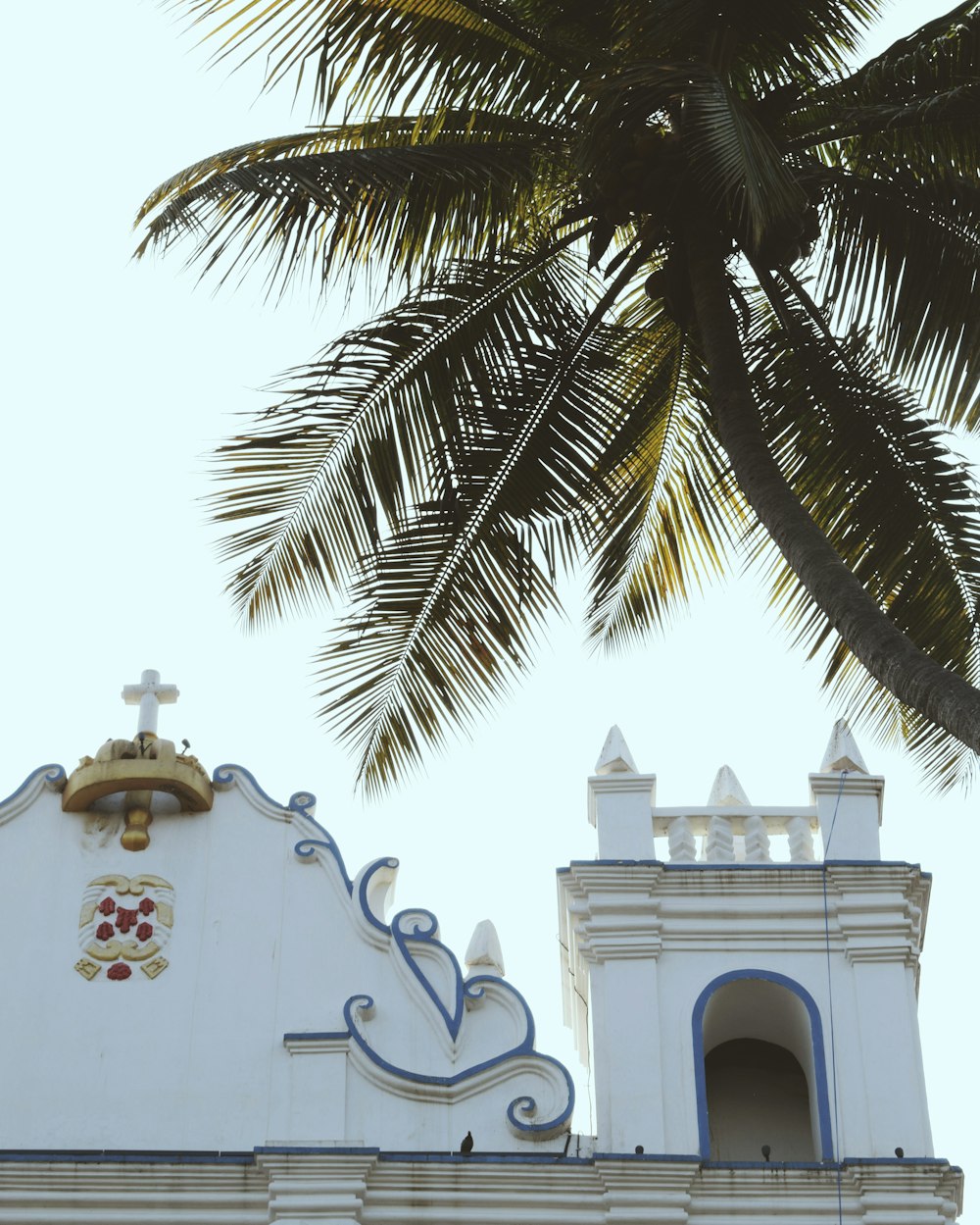 white and brown concrete cathedral near green coconut tree