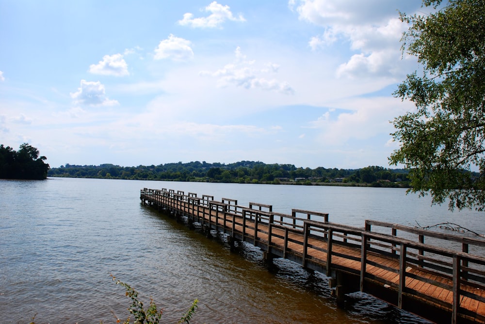 empty brown wooden dock during daytime