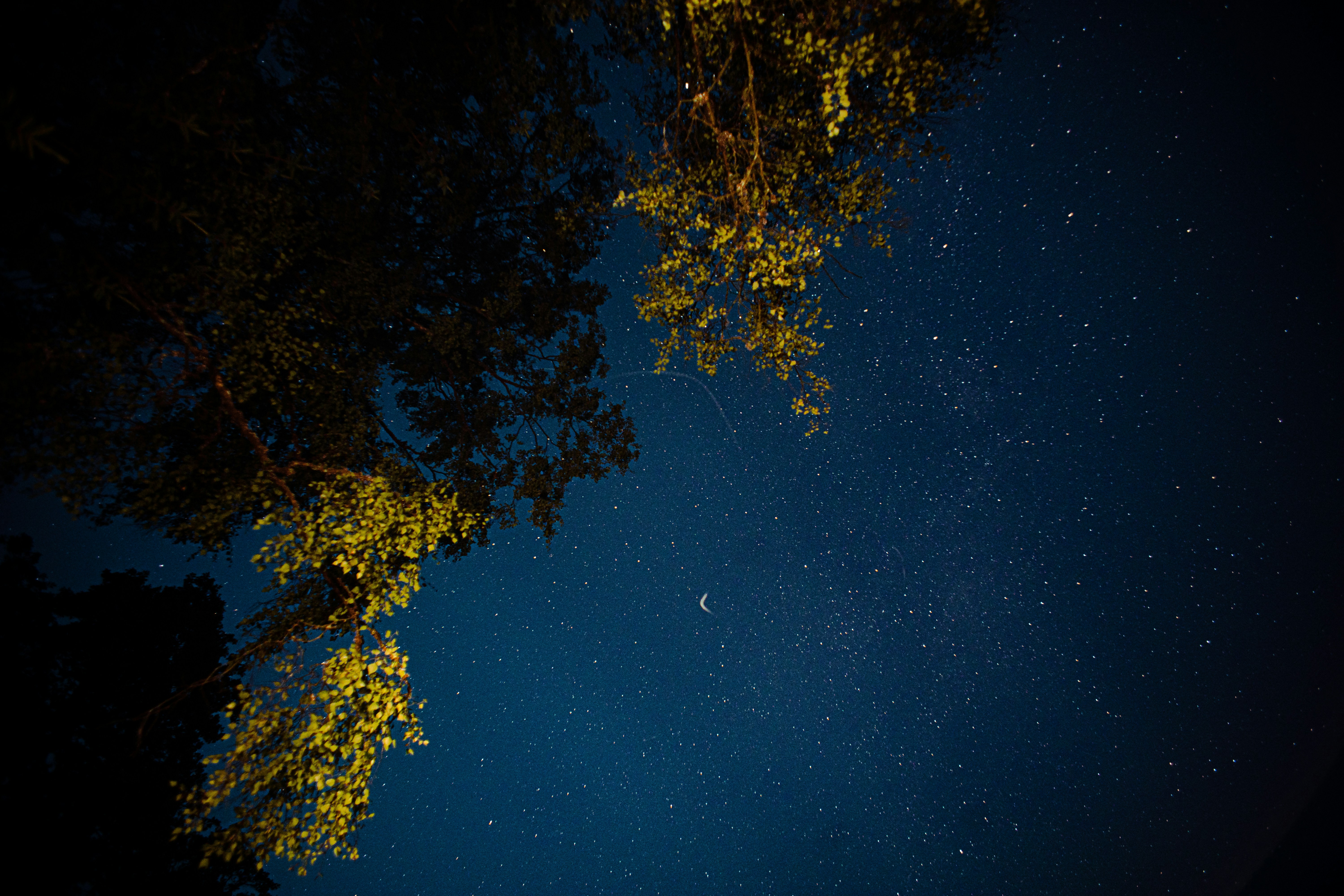 Photo by laup