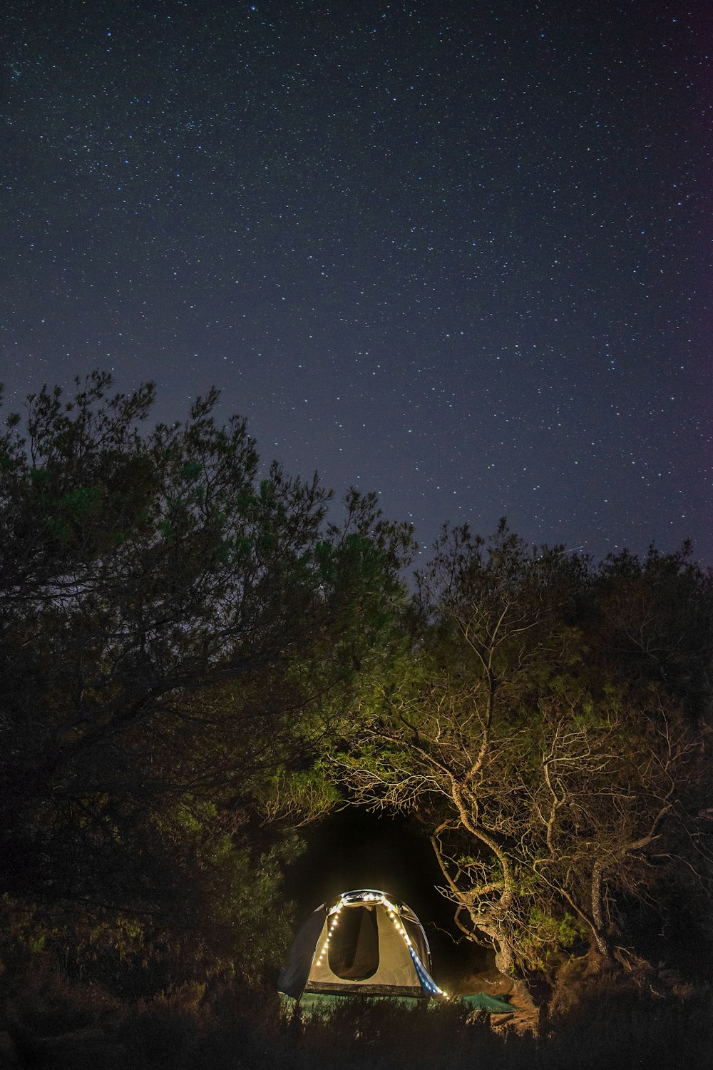 a tent in the woods under a night sky