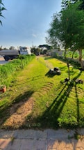 A cheerful lawn mower buzzing through a sunny suburban yard with freshly cut grass.