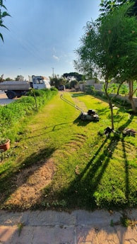 A freshly mowed lawn stretches into the distance, bordered by lush greenery on either side. A lawn mower is visible in the foreground, leaving a trail of cut grass. There are trees casting long shadows on the grass, and a paved pathway runs alongside. In the background, vehicles are parked near a road with overhead power lines.