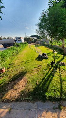 A freshly mowed lawn stretches into the distance, bordered by lush greenery on either side. A lawn mower is visible in the foreground, leaving a trail of cut grass. There are trees casting long shadows on the grass, and a paved pathway runs alongside. In the background, vehicles are parked near a road with overhead power lines.