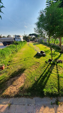 A freshly mowed lawn stretches into the distance, bordered by lush greenery on either side. A lawn mower is visible in the foreground, leaving a trail of cut grass. There are trees casting long shadows on the grass, and a paved pathway runs alongside. In the background, vehicles are parked near a road with overhead power lines.