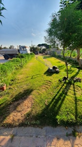 A freshly mowed lawn stretches into the distance, bordered by lush greenery on either side. A lawn mower is visible in the foreground, leaving a trail of cut grass. There are trees casting long shadows on the grass, and a paved pathway runs alongside. In the background, vehicles are parked near a road with overhead power lines.