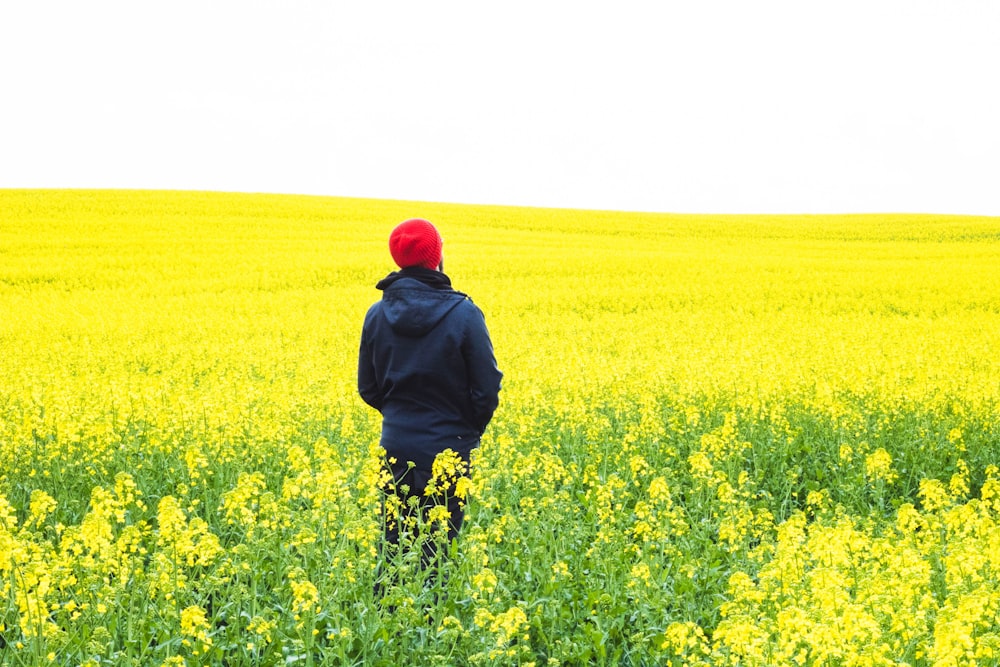 person standing on flower field