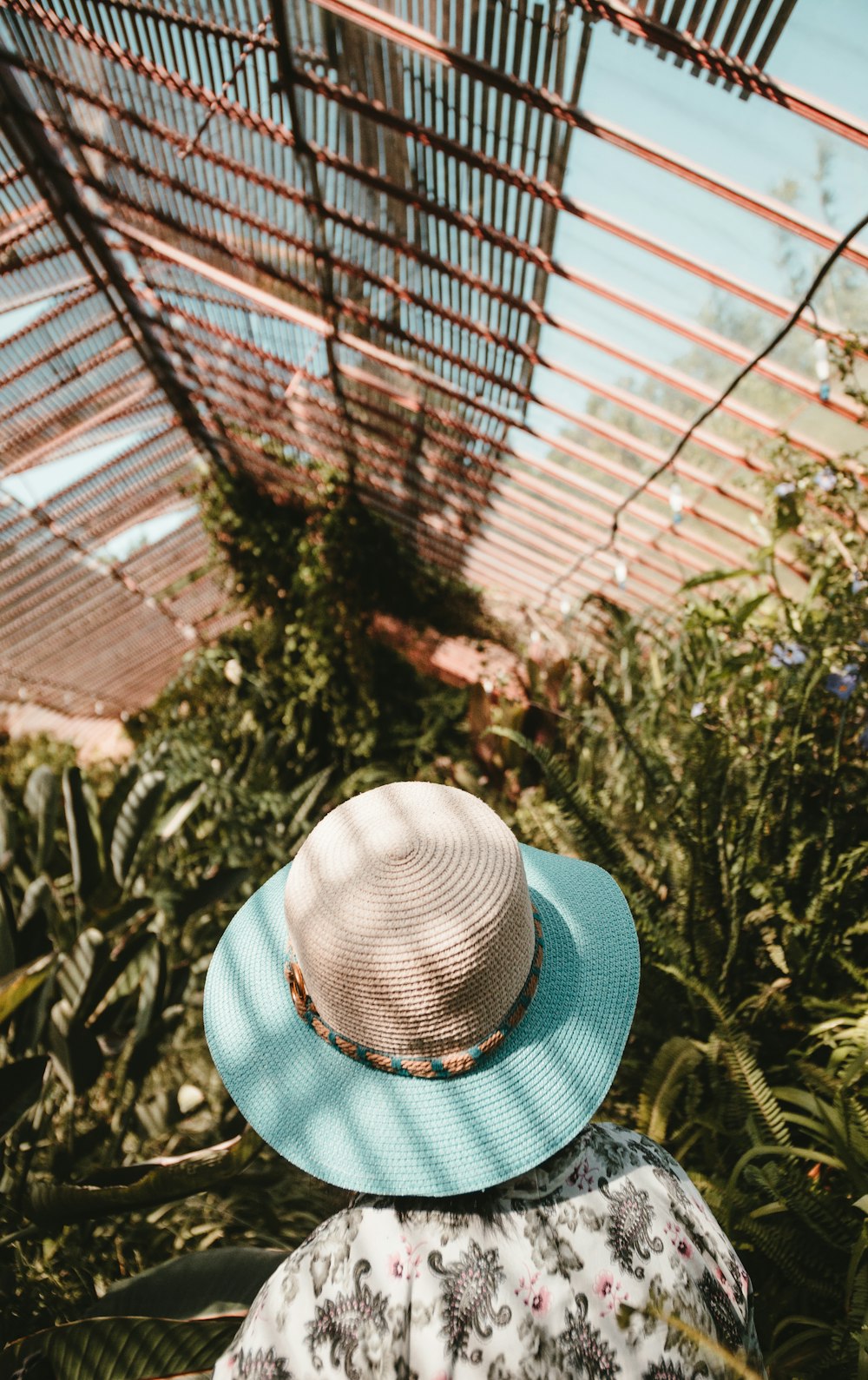 person in white and grey floral shirt in greenhouse