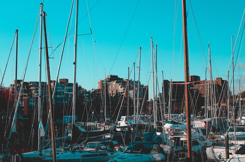 boat lot near buildings during daytime