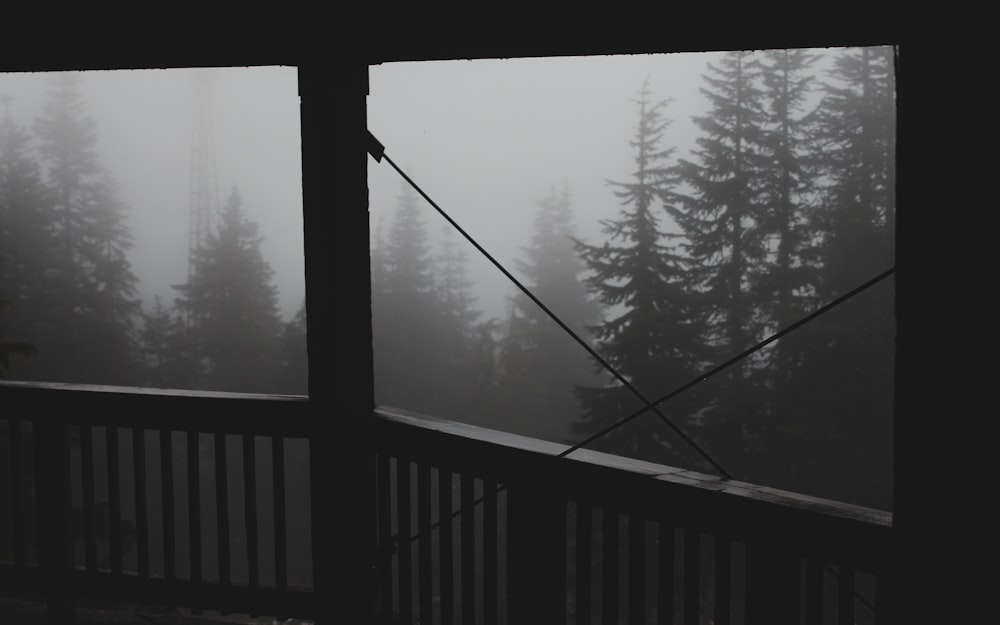 grayscale photo of terrace near trees