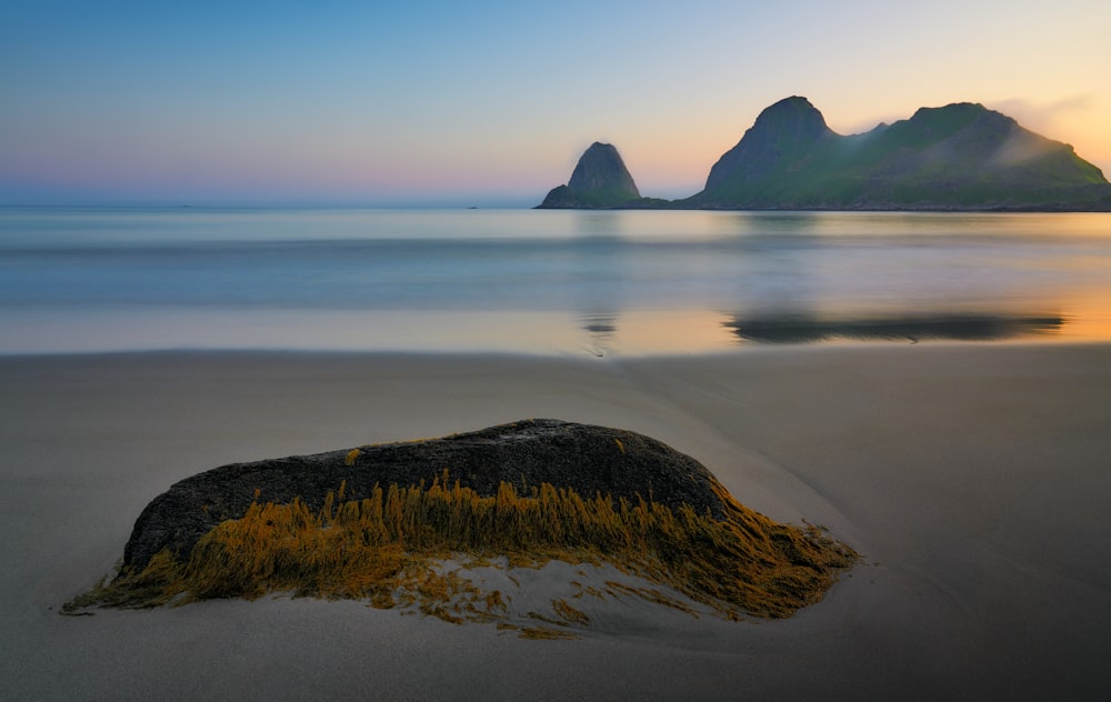 seashore under blue sky