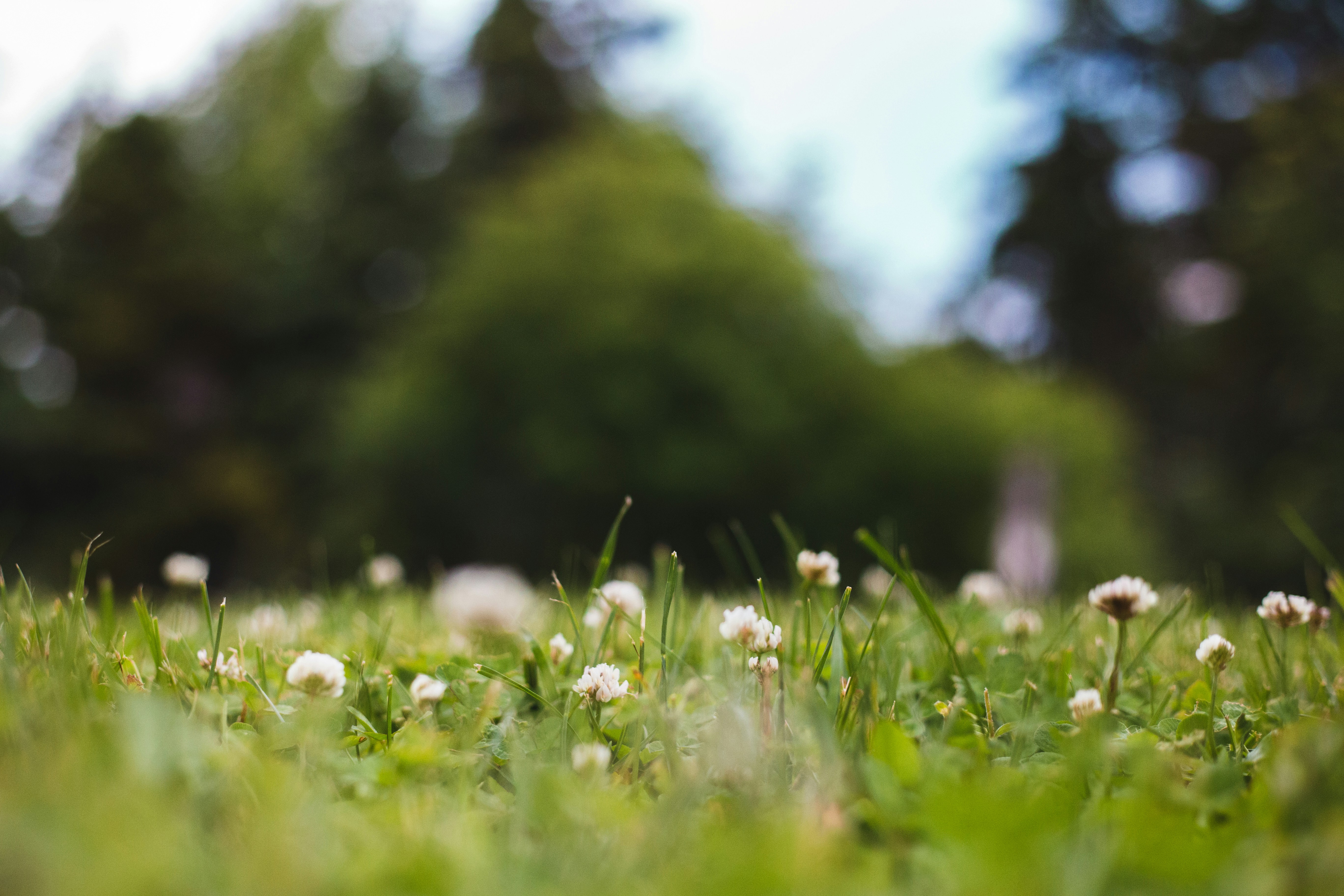 Photo by introspectivedsgn