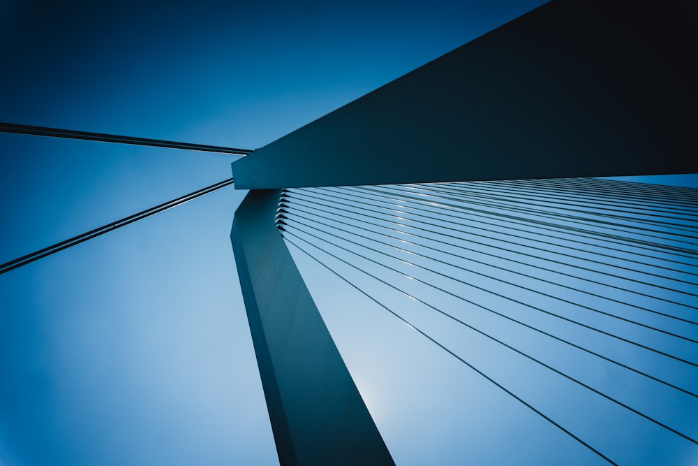 low-angle photography of iron bridge cables