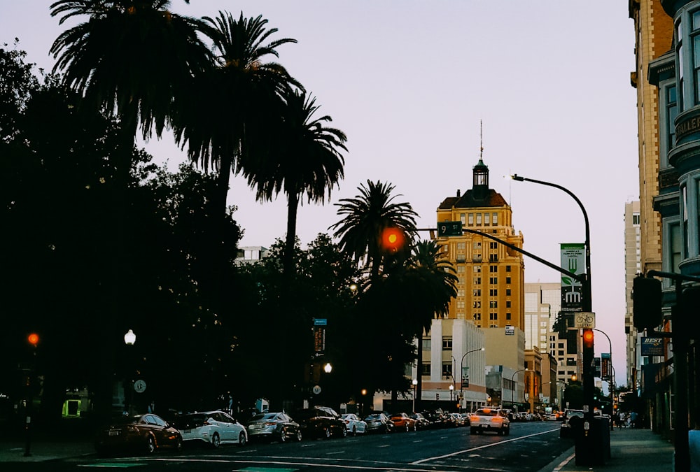 a city street with palm trees and a traffic light