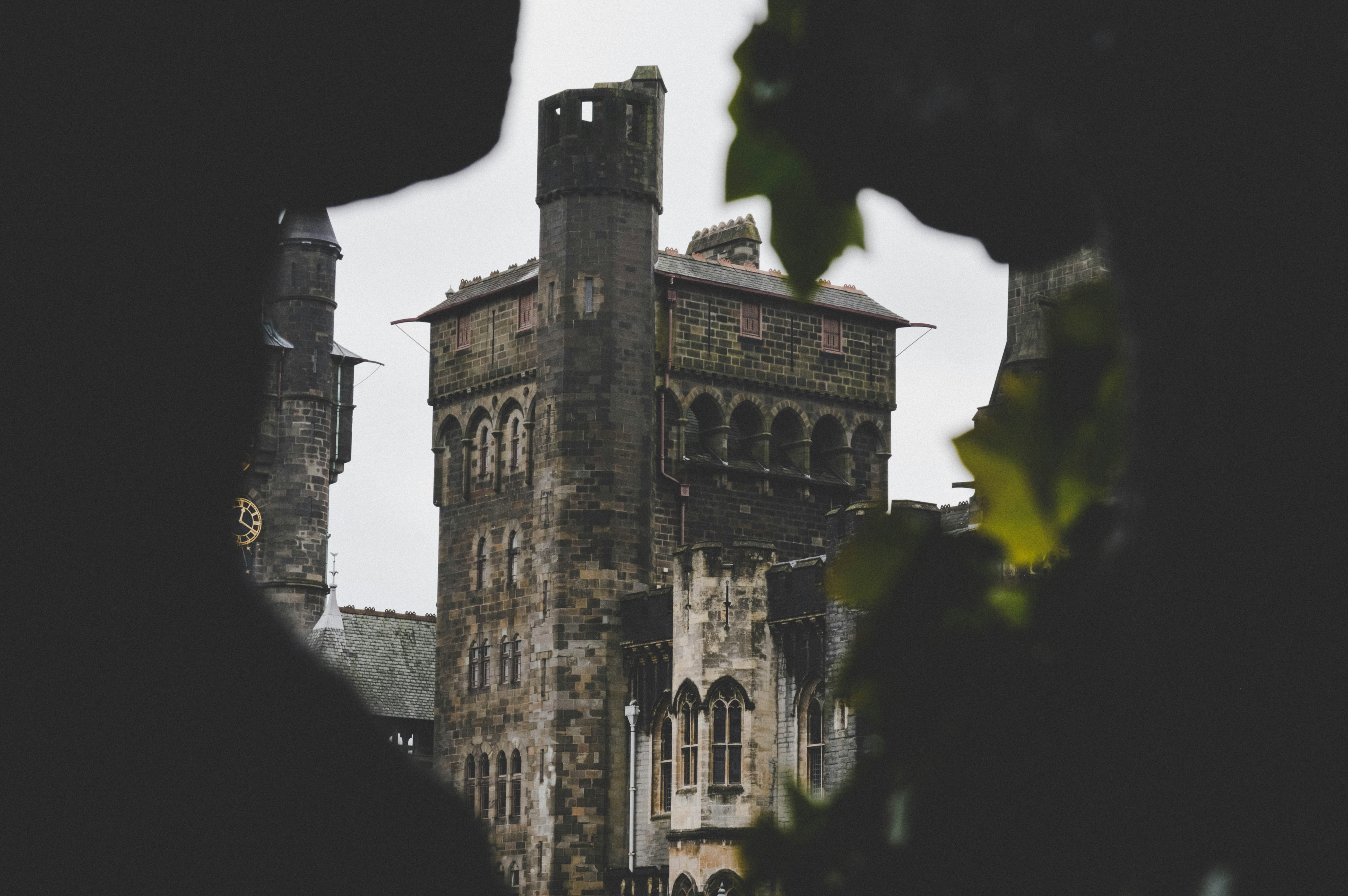 Photo by mkvandergriff