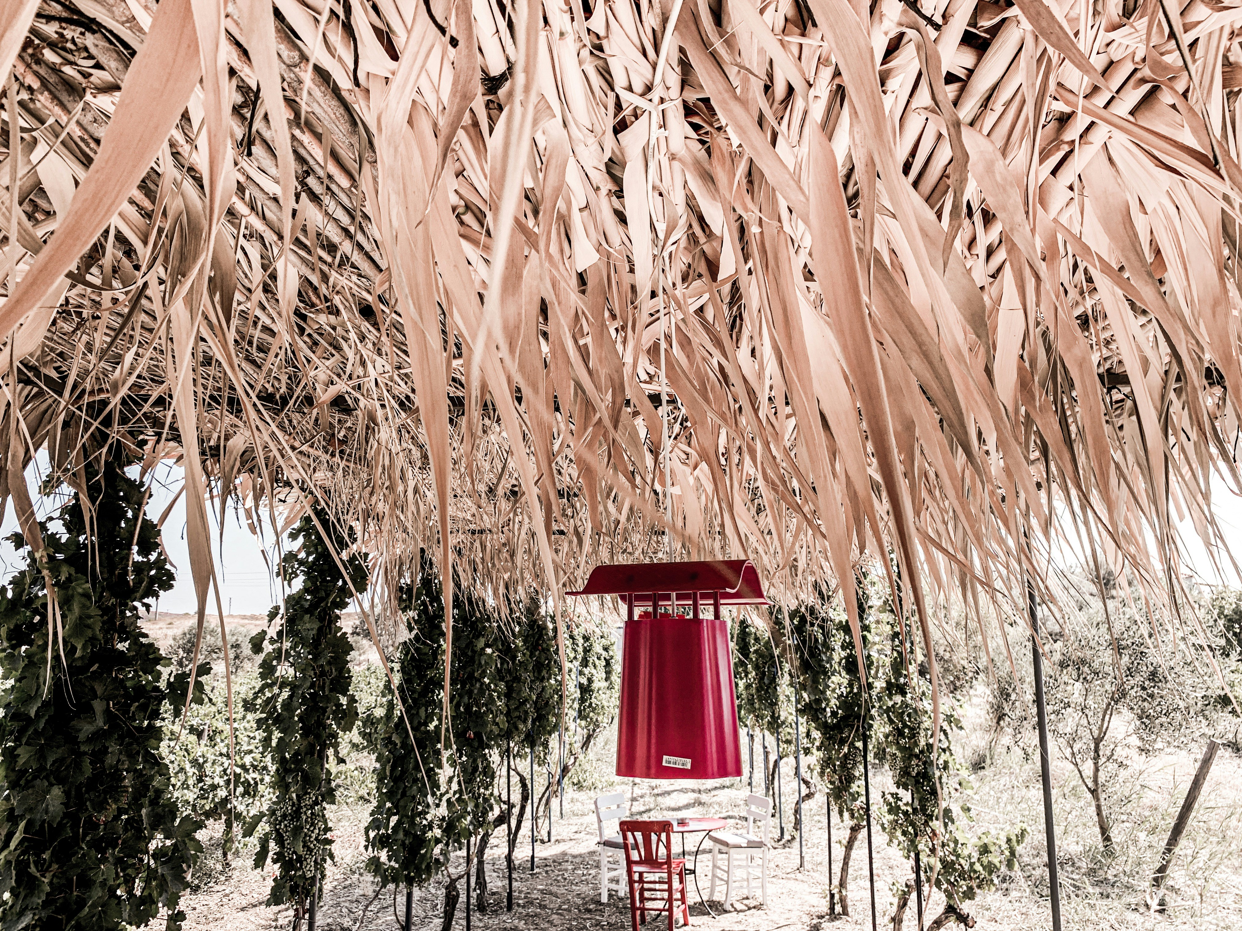 Poetry with Image VS Non Images - A Debate Between East and West