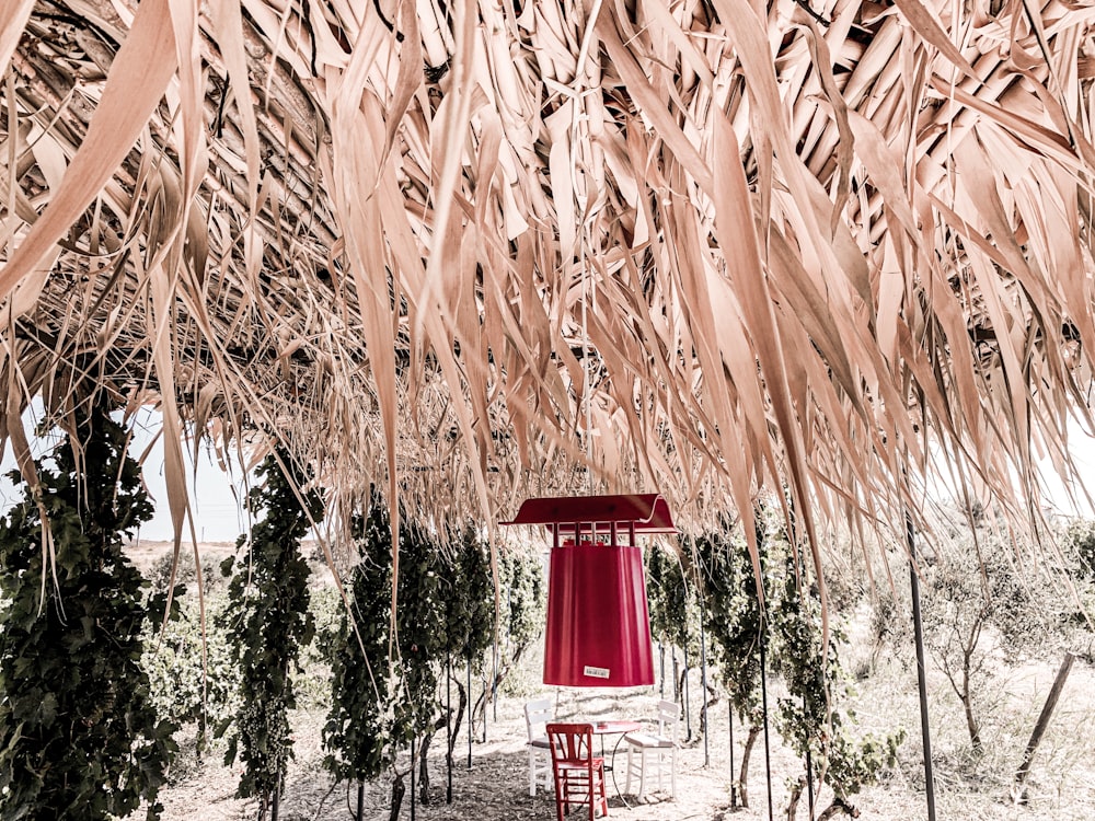 white and red chairs near green leaf plants