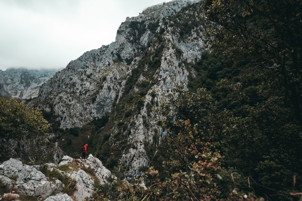 landscape photo of mountains during daytime