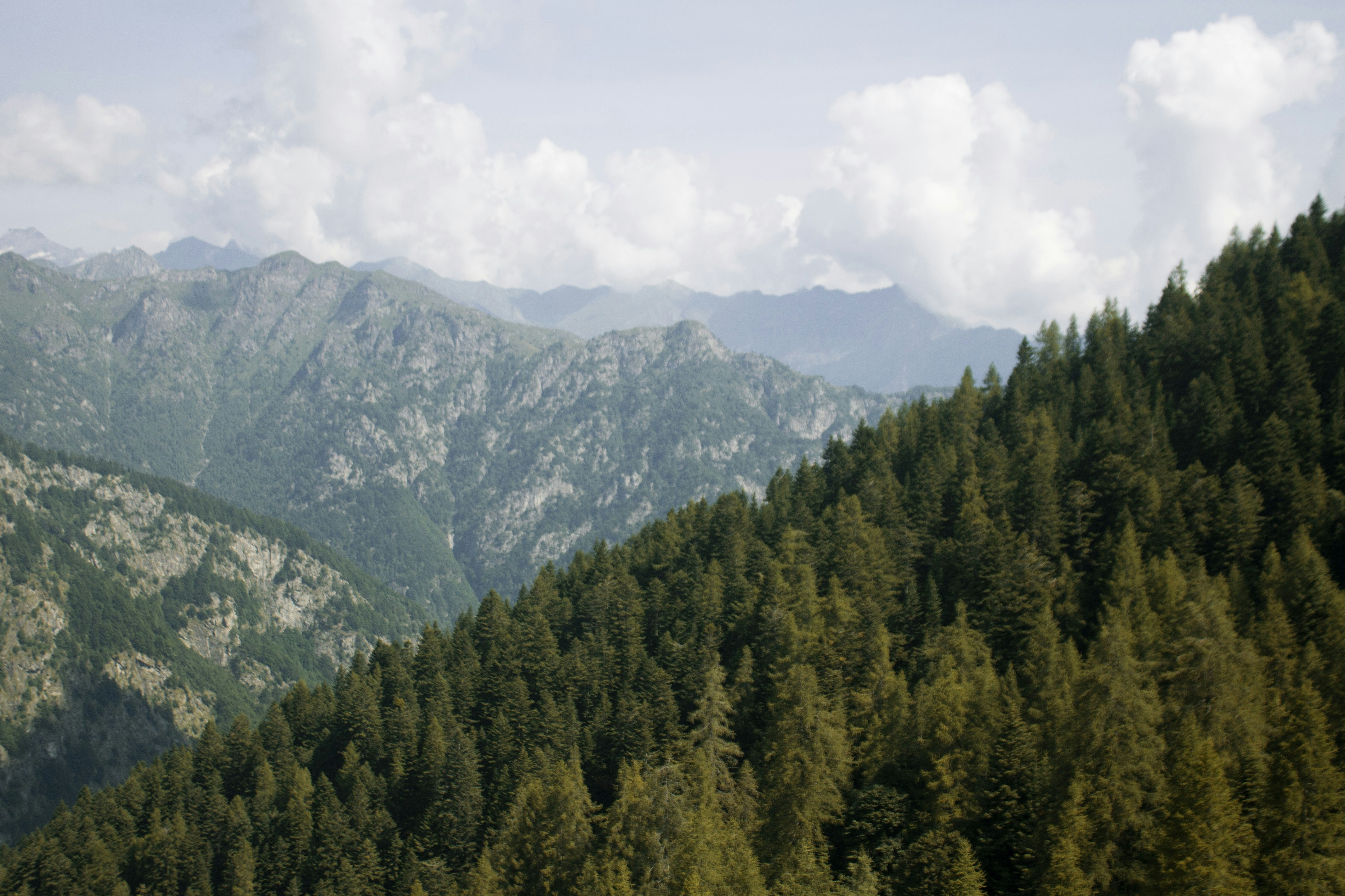 Photo by sachaverheij