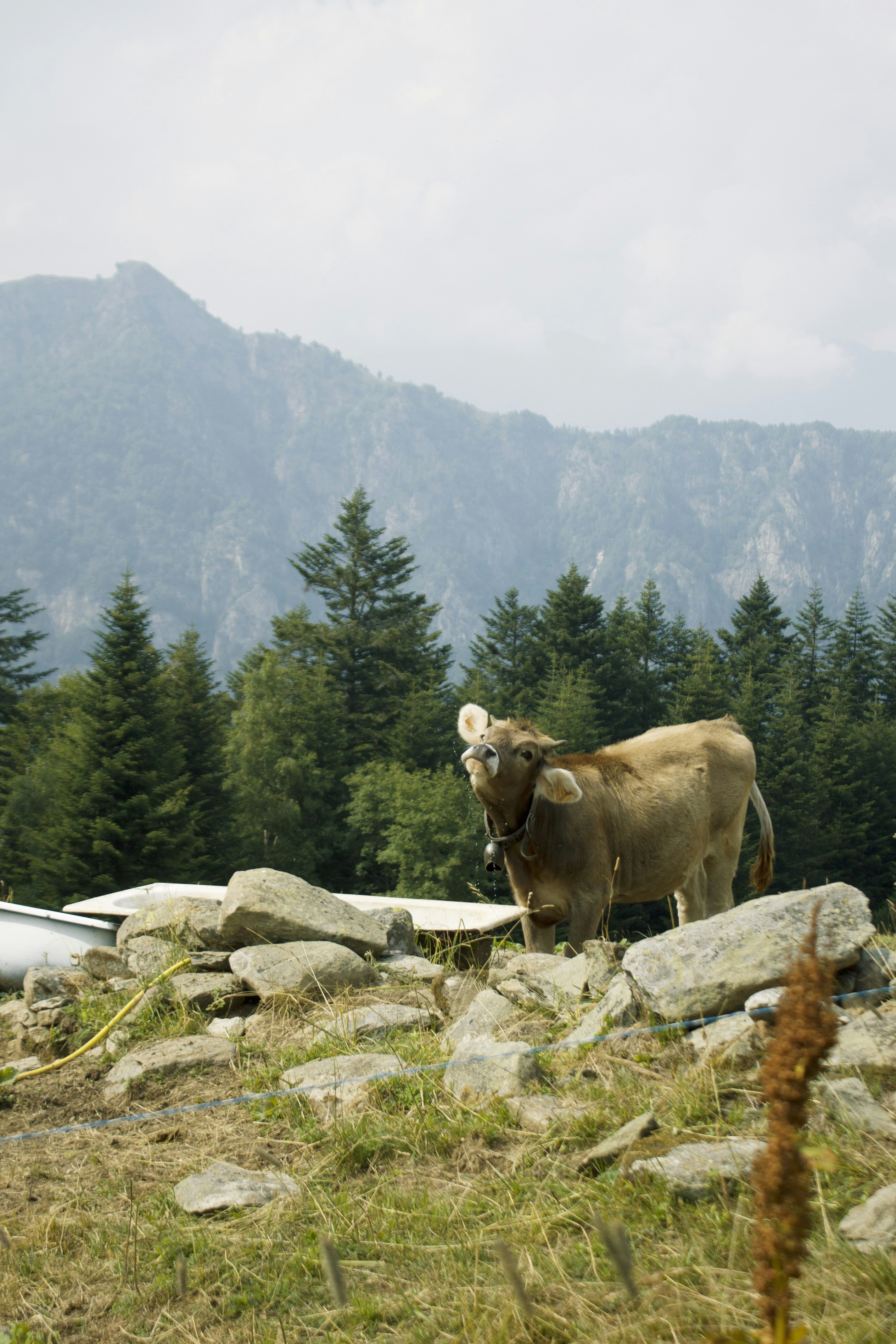 Photo by sachaverheij