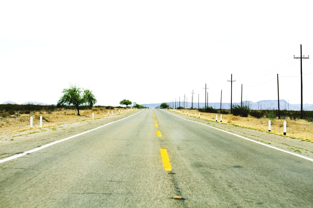 gray concrete road with no vehicle viewing electric posts