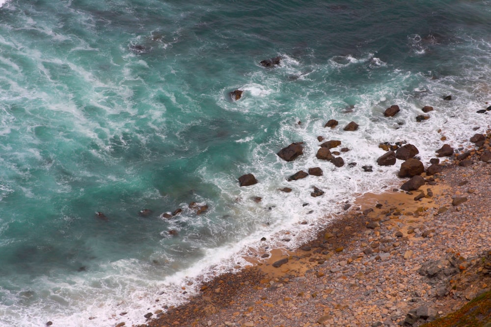 aerial photo of seashore during daytime