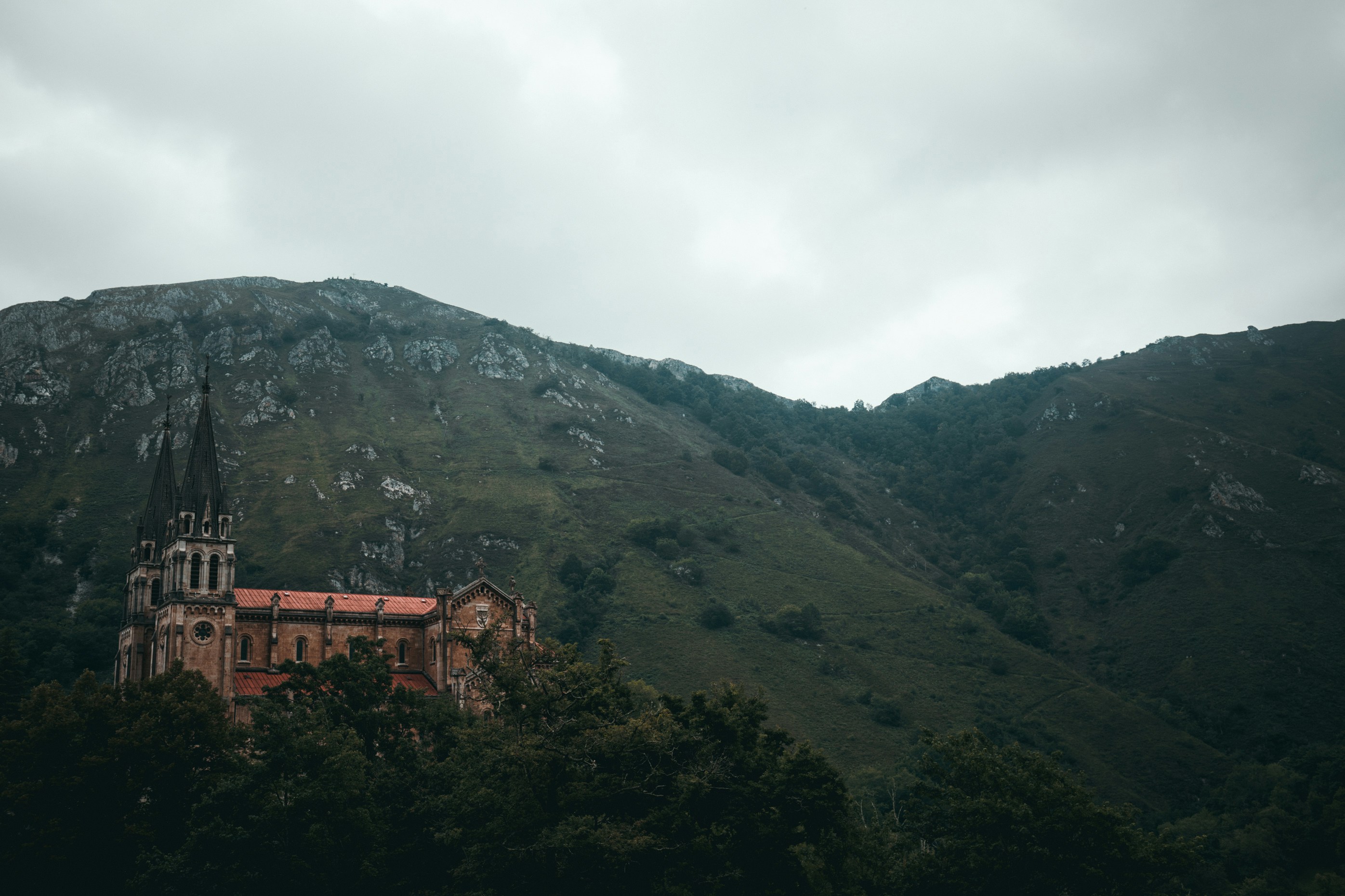 brown and white castle in hill