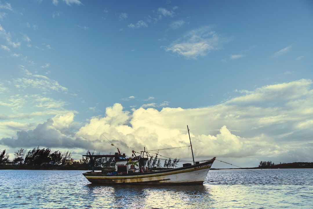 white boat on body of water during daytime