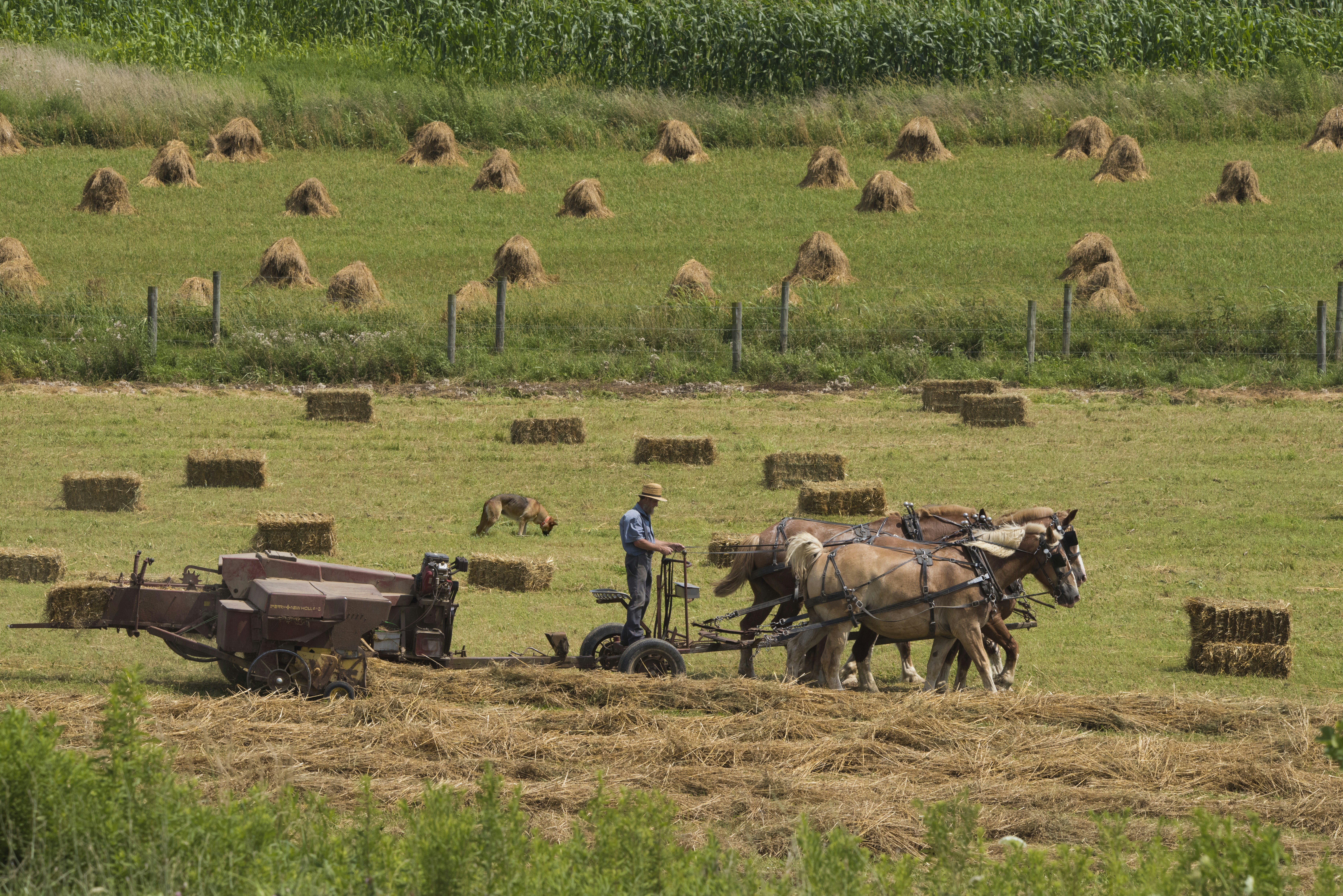 Bailing straw near Baltic Ohio on Township Road 114